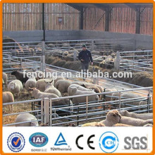 Anping factory Panneau de corral de mouton galvanisé à tube soudé